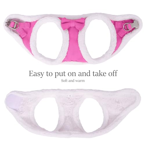 Didog Small Dog Harness and Leash Set, No Pull Adjustable Soft Padded Dog Harness Vest for XS Small and Medium Sized Dogs...