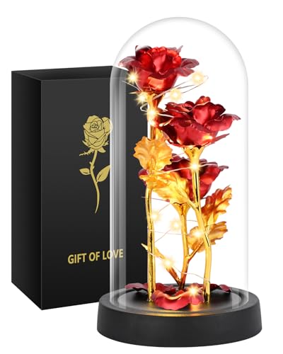 Tayfeim Gifts for Mom, Womens Gift for Birthday Gifts for Women Mom Wife Girlfriend, Light Up Rose in A Glass Dome, Rose G...