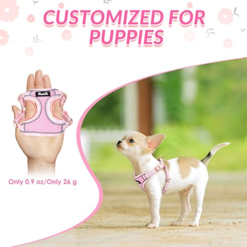 SlowTon Small Dog Harness - No Pull Dog Harness and Leash Set, Soft Mesh Lightweight Puppy Vest Harnesses, Adjustable Pet ...