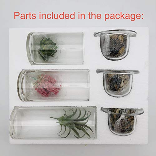 KMwares Glass Cylinder Candle Holders Set of 3 with Artificial Succulent and Decorative Stones, Hurricane Candle Holder Ce...