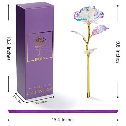 LOVEINUSA Artificial Galaxy Rose Flower Gifts, Galaxy Eternity Rose Glass Forever Flowers for Mom from Daughter/Son, Birth...