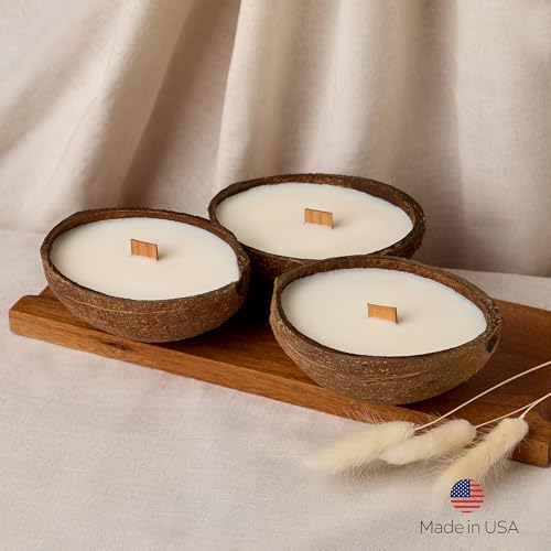 Badalyan Art Studio – Scented Candles Clearance | Coconut Shell Soy Wax Candle with Wooden Wick | Candles for Home Décor |...