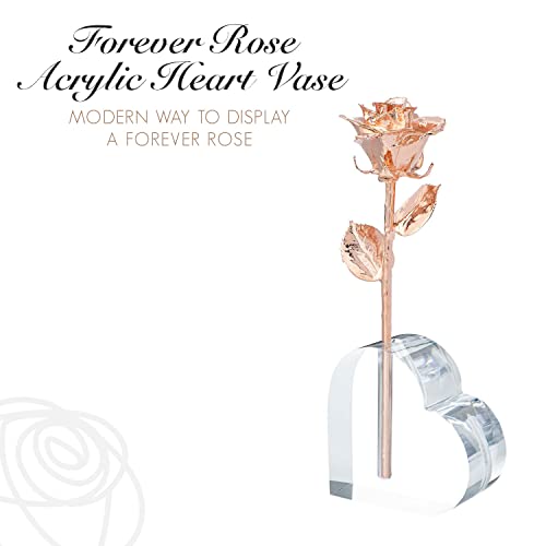 Forever Rose Acrylic Heart Shaped Vase, Romantic Heart Vase for Flowers, Display A Single Forever Rose, Unique Romantic Gi...