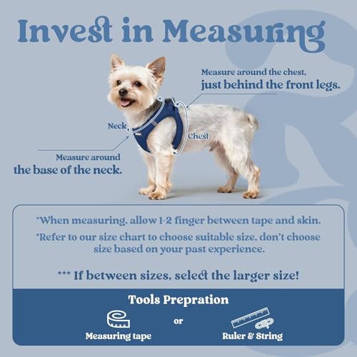 rabbitgoo Small Dog Harness, Step-in Soft Mesh Puppy Vest with Safety Buckle, Breathable Reflective Pet Harness for Small ...