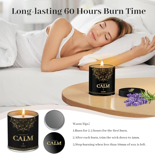 WarmEmbrace Lavender Scented Candles, 9 Oz Jar Candles for Home, Office, Meditation, Yoga, Candles for Women & Men, Mothe...