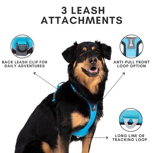 ShawnCo Basecamp Dog Harness, No-Pull Pet Vest with 3 Leash Clips, Padded, Reflective, Lightweight and Adjustable Harness ...