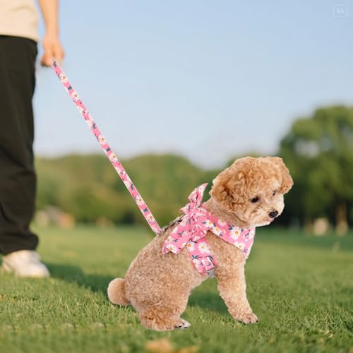 YKYUASD Dog Harness and Leash Set Adjustable Puppy Harness Mesh Vest Set Bow Knot Pet Clothes for Small Girl Dog Cat Summe...