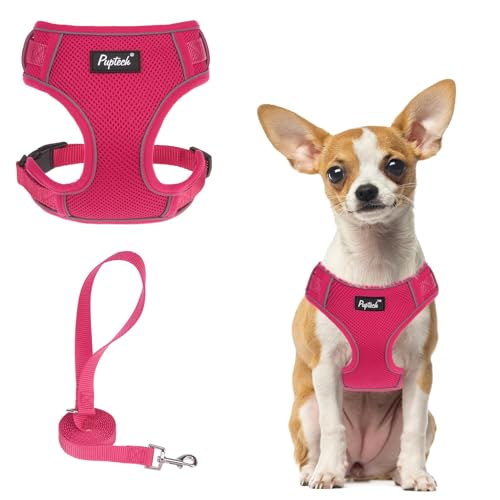PUPTECK Small Dog Harness and Leash Set, No Pull Adjustable Puppy Cat Harness, Reflective Soft Mesh Pet Vest Small Sized, ...