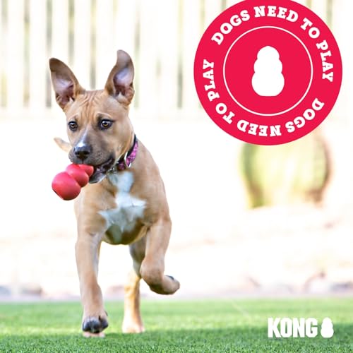 KONG Wubba - Dog Toy for Tug of War & Fetch - Dog Supplies for Puppy & Dog Playtime - Outdoor & Indoor Dog Toy - for XL Do...