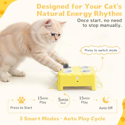 PETSWEET Cheese Box Interactive Cat Toy for Indoor Cats, 3-in-1 Whack a Mole Feather Toy, 3 Modes Rechargeable Auto Cat To...