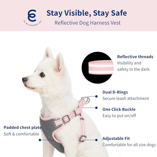 Blueberry Pet Matching Reflective Harness and Leash Set | Adjustable Pastel Vest with Lead for Dogs – Great Value Gift Set...
