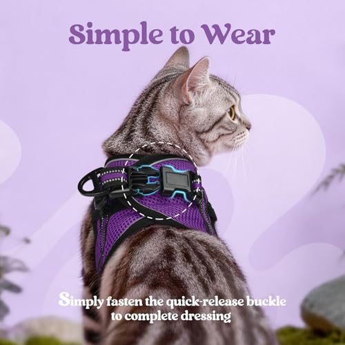 rabbitgoo Cat Harness and Leash Set for Walking Escape Proof, Adjustable Soft Kittens Vest with Reflective Strip for Cats,...