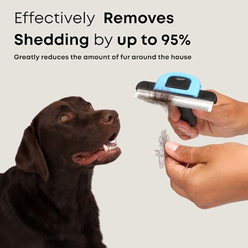 Freshly Bailey Deshedding Brush for Short Haired Dogs & Cats - Cat and Dog Brush for Shedding Short Hair - Highly Effectiv...
