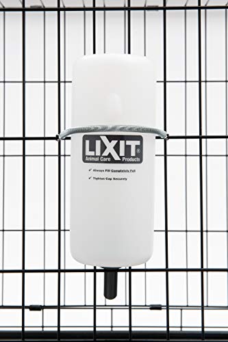 Lixit® Wide Mouth Water Bottles for Large Dogs (White, 32 Ounce)