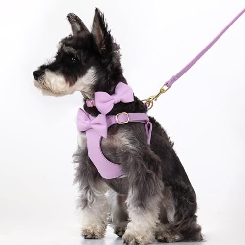 Beirui Adorable Small Dog Harness Collar and Leash Set,Cute Puppy Harness Set with 3 Bows for Small Dogs,Shih Tzu,Dachshun...