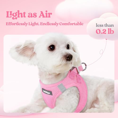 rabbitgoo Dog Harness Small Sized and Leash Set, Step in Soft Light Puppy Vest, Breathable Mesh Pet Harness, Reflective fo...