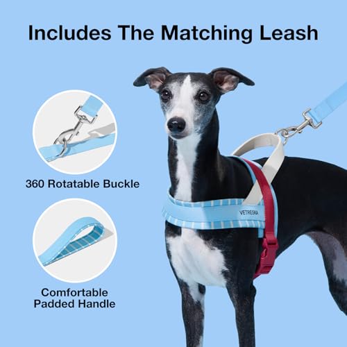 VETRESKA Dog Harness and Leash Set, Puppy Harness Adjustable, Easy Control No Choke Dog Harness for Small, Medium Dogs, Ca...