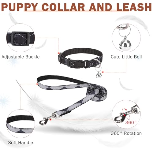 SCENEREAL Small Dog Harness and Leash Collar Set, Step in No Pull Soft Mesh Dog Harnesses for Small Medium Sized Dogs Pupp...