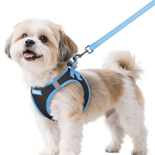 rabbitgoo Dog Harness Small Sized and Leash Set, Step-in Breathable Pet Harness, Soft Walking Reflective Puppy Vest for Sm...