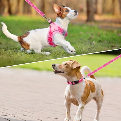 SCENEREAL Small Dog Harness and Leash Collar Set, Step in No Pull Soft Mesh Dog Harnesses for Small Medium Sized Dogs Pupp...