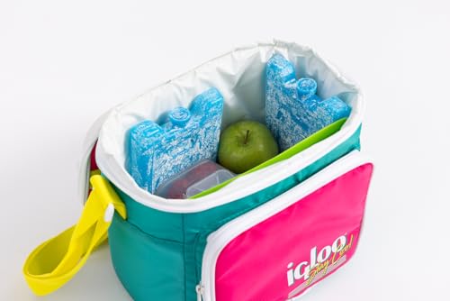 Igloo Maxcold Ice Block