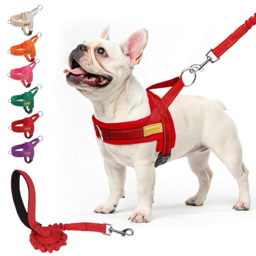 BEAUTYZOO No Pull Dog Harness Medium Sized Dog, Breathable Mesh Padded Dog Harness and Leash Set, Adjustable Reflective Es...