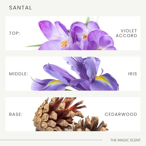 The Magic Scent Santal Fragrance Oil - Diffuser Oil Scent - Santal Aroma Diffuser Oils - Luxury Scents for Home - Sandalwo...