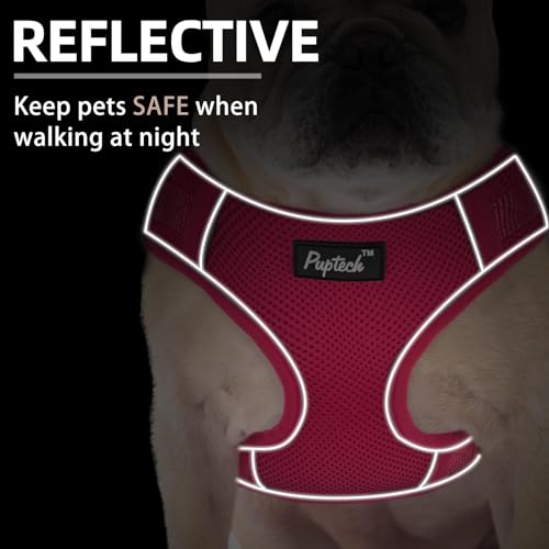 PUPTECK Small Dog Harness and Leash Set, No Pull Adjustable Puppy Cat Harness, Reflective Soft Mesh Pet Vest Small Sized, ...