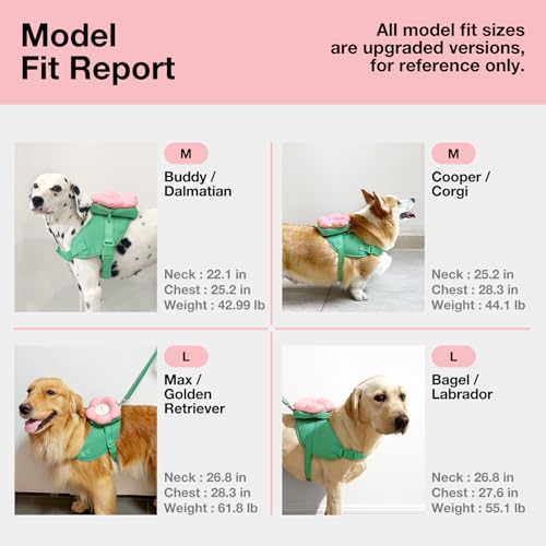 VETRESKA Flora Dog Harness, Leash and Collar Set, No Pull Dog Vest Harness for Walking and Training, Adjustable, Easy Cont...