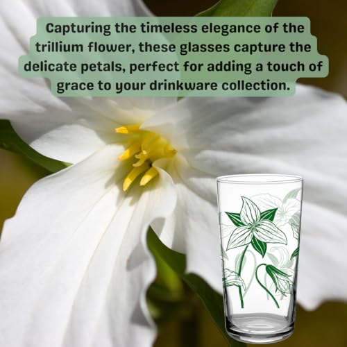 DOWN TO EARTH BASICS Vintage Glasses Set – 7 oz Retro Tumbler Variety Pack – Poppy, Iris, Trillium, Mushroom – Durable Flo...