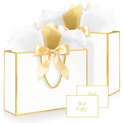 Ethhqu Fancy Large Gift Bags with Handles, 2 Pack 12.6x10x4 Inches - Includes Tissue Paper & Cards for Birthday, Baby Show...