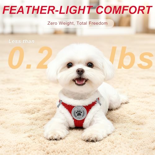 BEAUTYZOO Plush Dog Harness for Small Dogs, No Pull Dog Harness and Leash Set, Soft Fleece Escape Proof Puppy Vest Harness...