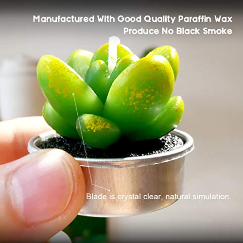 Swpeet 12Pcs Decorative Succulent Cactus Tealight Candles Kit, Cute Smokeless Succulent Plants Perfect for Candles Festiva...