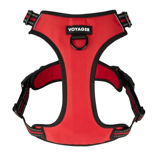 Voyager Dog Harness Dual Leash Attachment No-Pull Control Adjustable Soft but Strong Pet Harness for Medium and Large Dogs...