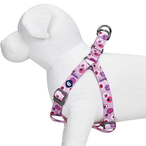 Blueberry Pet Essentials Step-in Spring Scent Inspired Garden Floral Dog Harness in Light Purple, Chest Girth 16.5" - 21....