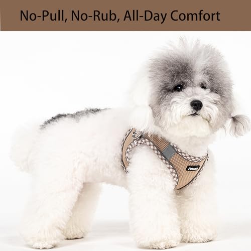 Petank Dog Harness for Small Medium Dogs No Pull, Puppy Harness and Leash Set for Walking, Running, Training, Small Dog Ha...