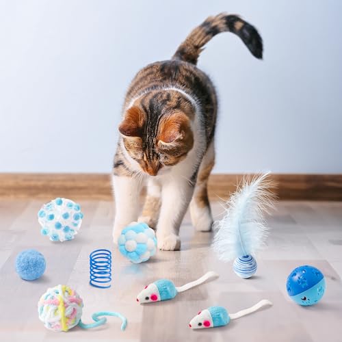 MALLMALL6 Cat Toy Set Interactive Cat Toys 10Pcs Pack Including Cat Springs Feather Teaser Wand Mice Crinkle Balls and Pet...