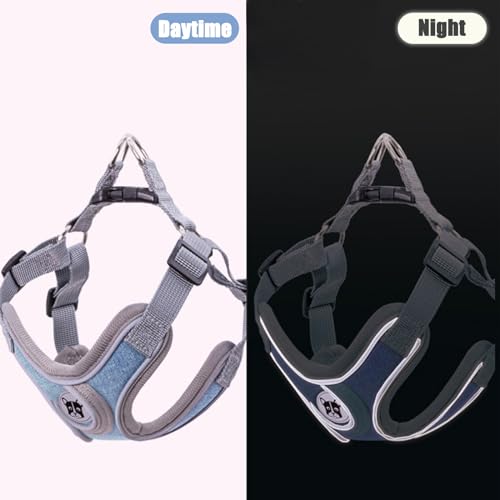 Patas Lague Dog Harness with Leash Set for Small Medium Dogs, No Pull No Choke Reflective Step in X Head Pet Harness Vest ...