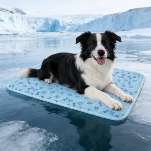 ASOOX Dog Cooling Mat, Pet Cooling Mat for Dogs and Cats, Portable Summer Dog Cool Pad,Cool Bed for Pets, Premium Pet Cool...