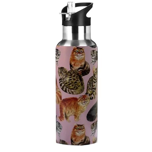 Xinvast Cat Water Bottle Adult Kids With Straw Lid Insulated Stainless Steel Travel Mugs for Sport Gym Outdoor 20oz