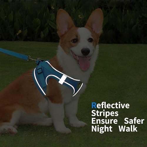 Jolifield Step in Dog Harness with Leash Set, Adjustable Soft Padded and Breathable Mesh for Small Sized Dog, Reflective N...