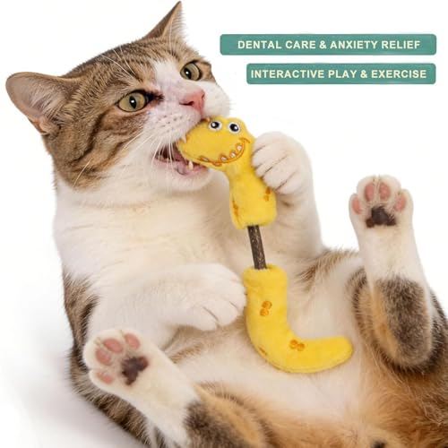uyiixoxo Interactive Cat Toys Set, Silvervine Chew Sticks and Cat Spring Toy, Indoor Catnip Toys for Exercise and Dental C...