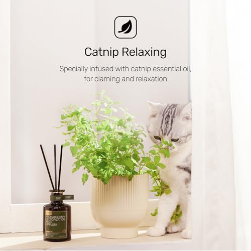 FURRYPURR Reed Diffuser for Pet Odor Elimination, Lavender Cedar, Non-Toxic & Pet-Friendly Air Freshening, 6 Oz