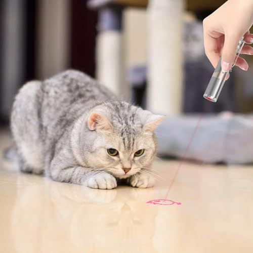 TBTeek Cat Toys, with Metal Case, 2 Pieces, Rechargeable, 7 Adjustable Patterns, Interactive Kitten Pet Dog Chase Toy for ...