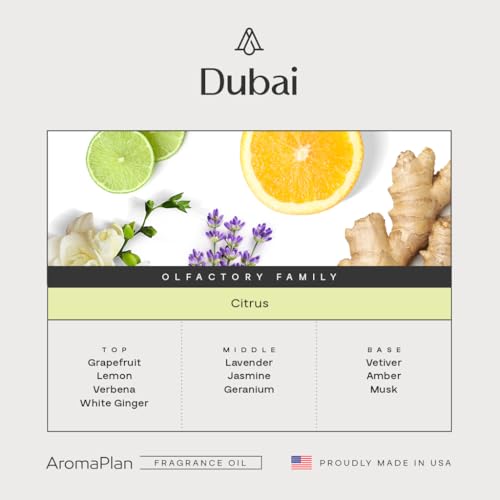 AromaPlan Hotel Scents Dubai 16.9 Fl Oz (500ml), Home Luxury Aroma & Hotel Diffuser Oil- Hotel Diffuser Oil for Aromathera...