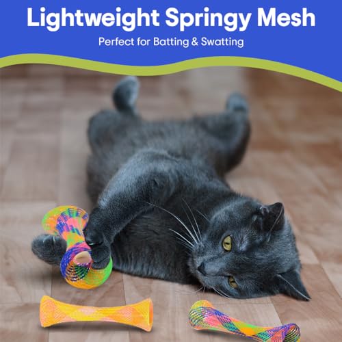 SPOT Kitty Fun Tubes Cat Toy | Bouncy Cat Toy with Catnip Inside for Cats and Kittens to Bite, Swat and Chase | Interactiv...