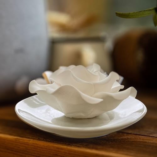 Passive Diffuser for Essential Oil-Ceramic Diffuser Non Electric Oil Diffusers for Small Mini Room, Desk Decorative, Bathr...