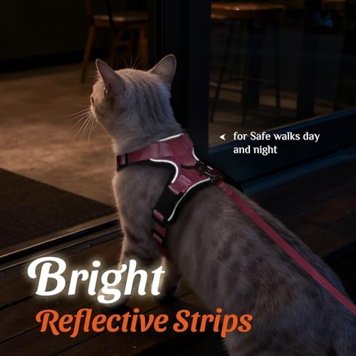 Dooradar Cat Harness and Leash Set, Escape Proof Safe Adjustable Kitten Vest Harnesses for Walking, Easy Control Soft Brea...
