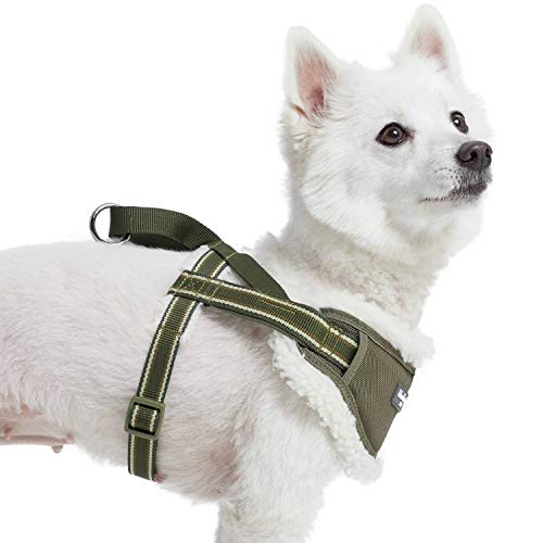 Blueberry Pet Soft & Comfy Multi-Colored Stripe Fleece Padded Chest Dog Harness, Chest Girth 16.5" - 21", Olive Green, Sma...