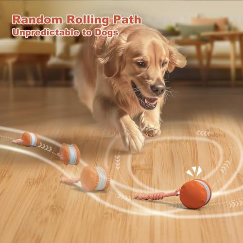 QGI Interactive Dog Toys, Random Path Electric Automatic Moving and Rolling Dogs Toy with Rope for Small Medium Large Dog...